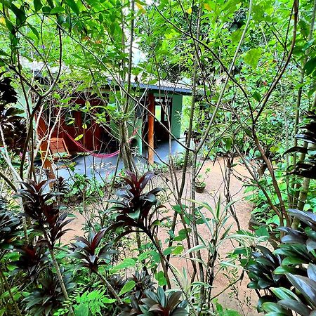 Ella Secret Paradise Bagian luar foto