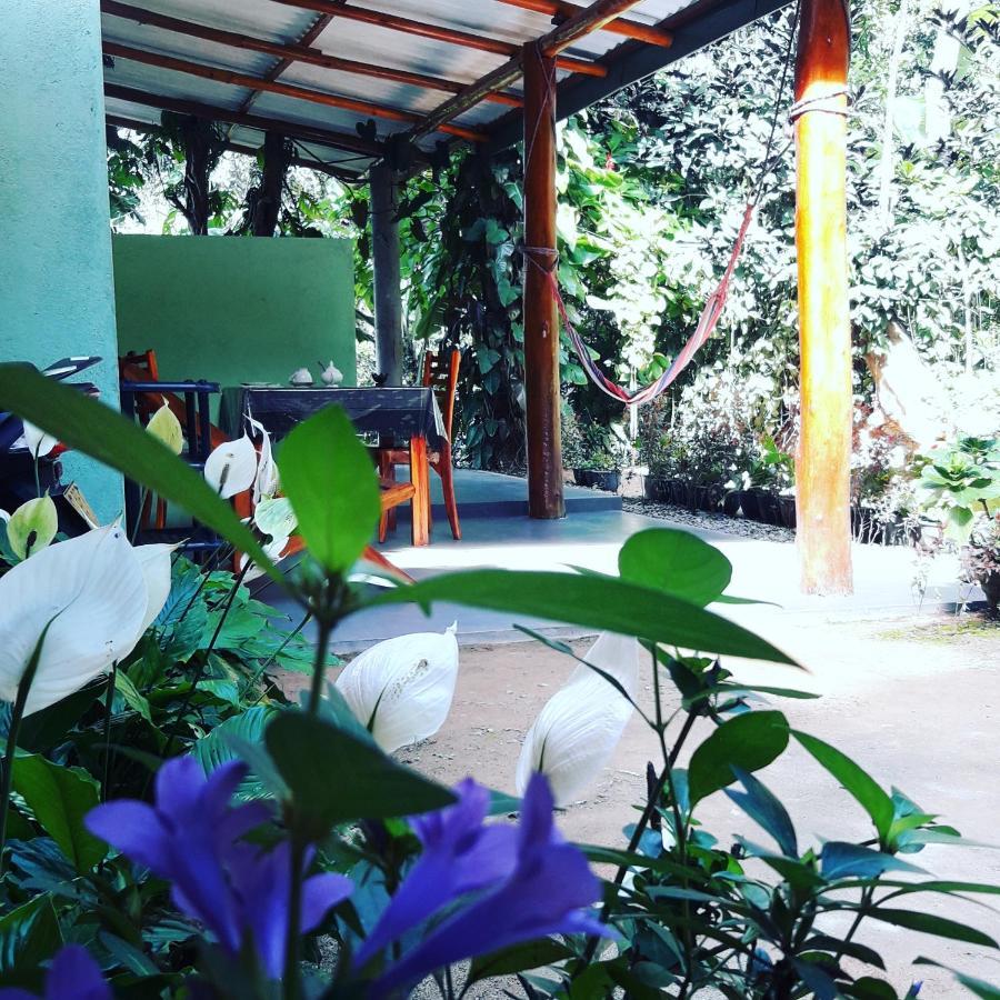 Ella Secret Paradise Bagian luar foto