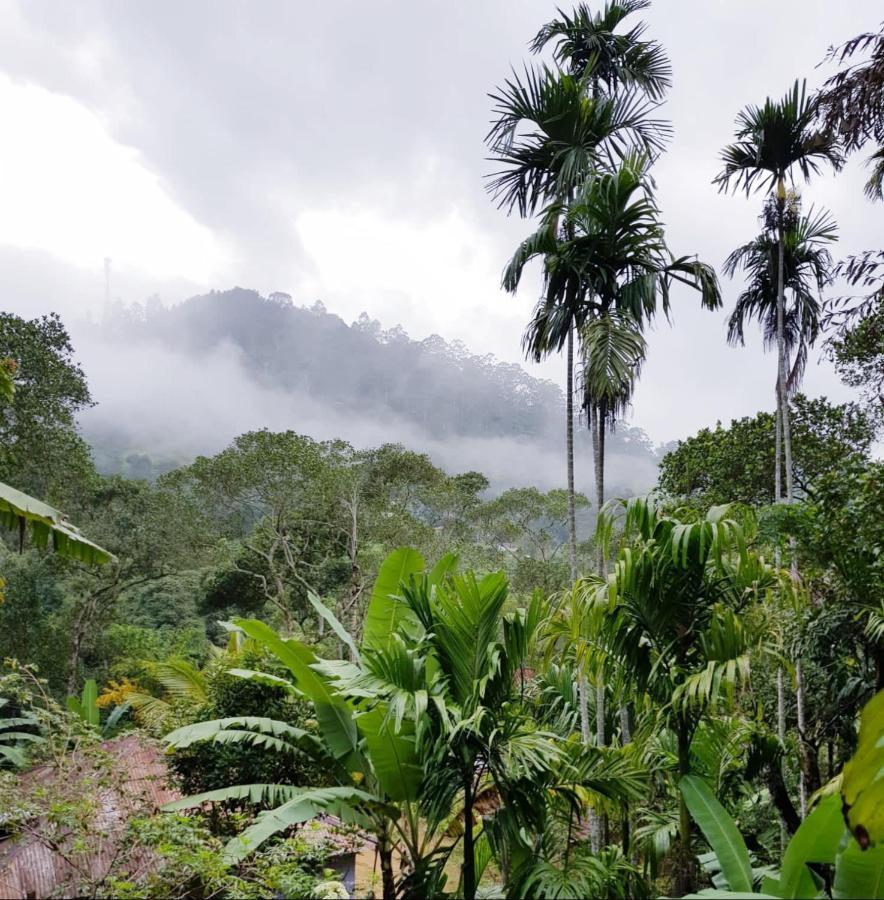 Ella Secret Paradise Bagian luar foto