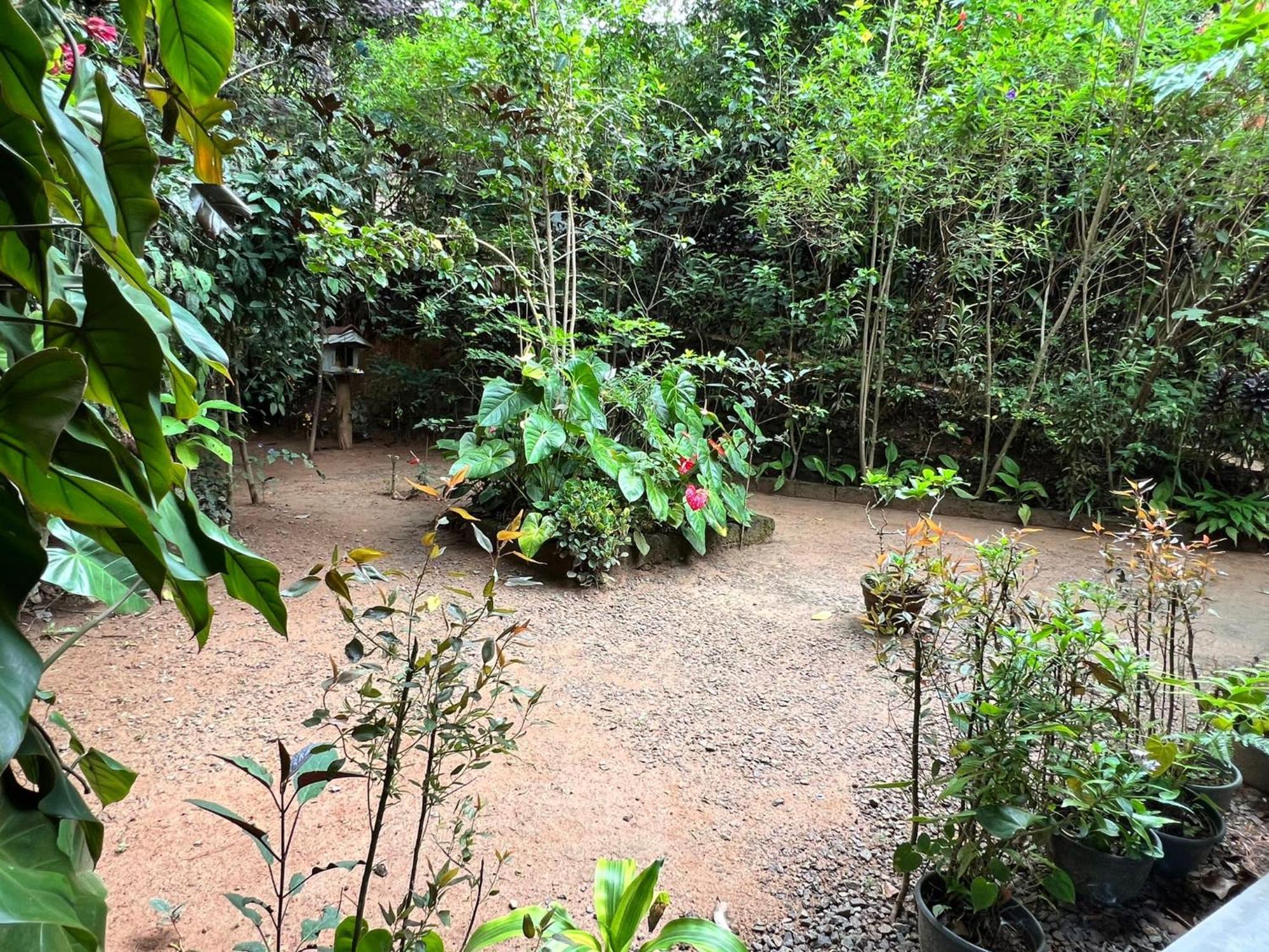 Ella Secret Paradise Bagian luar foto