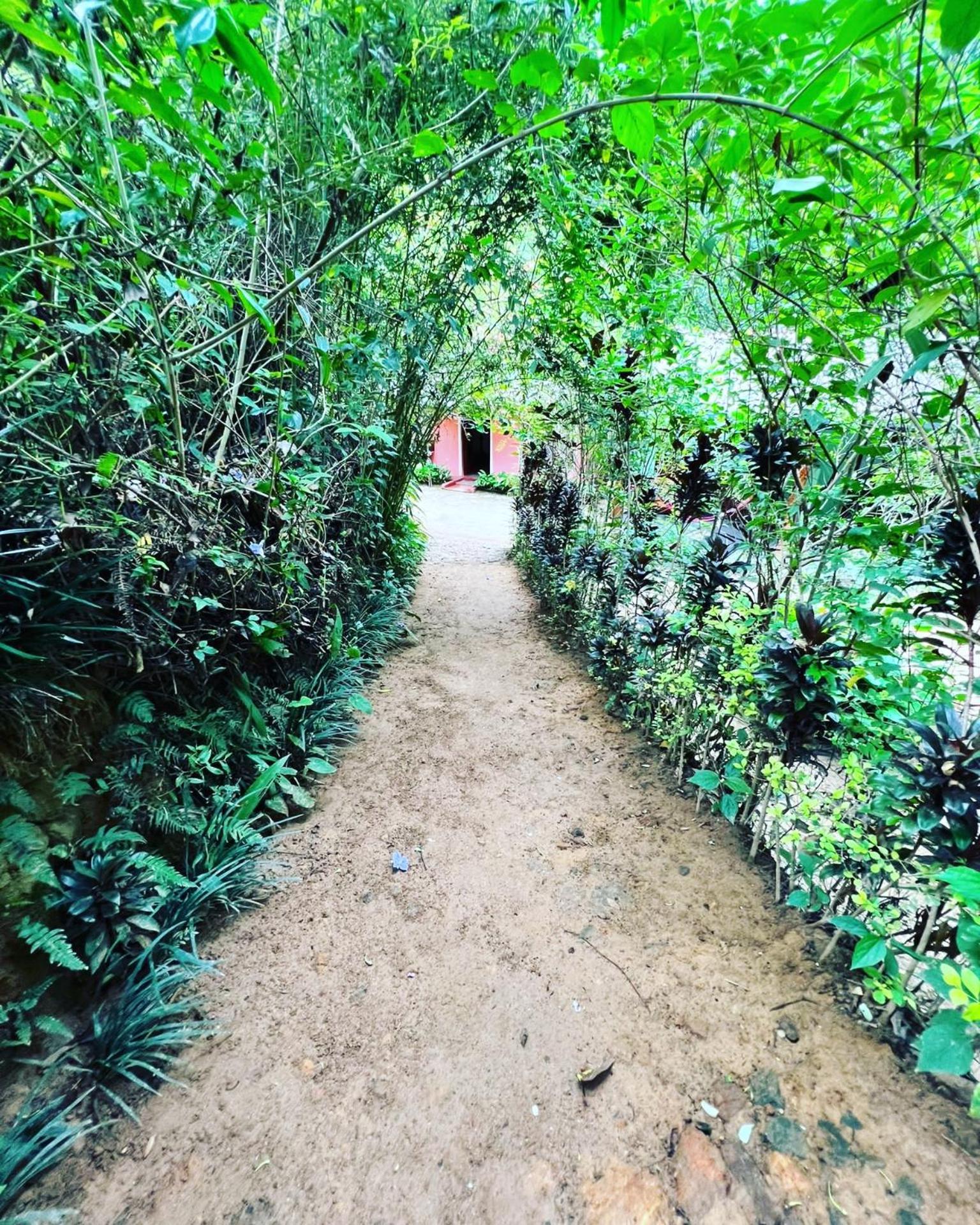 Ella Secret Paradise Bagian luar foto
