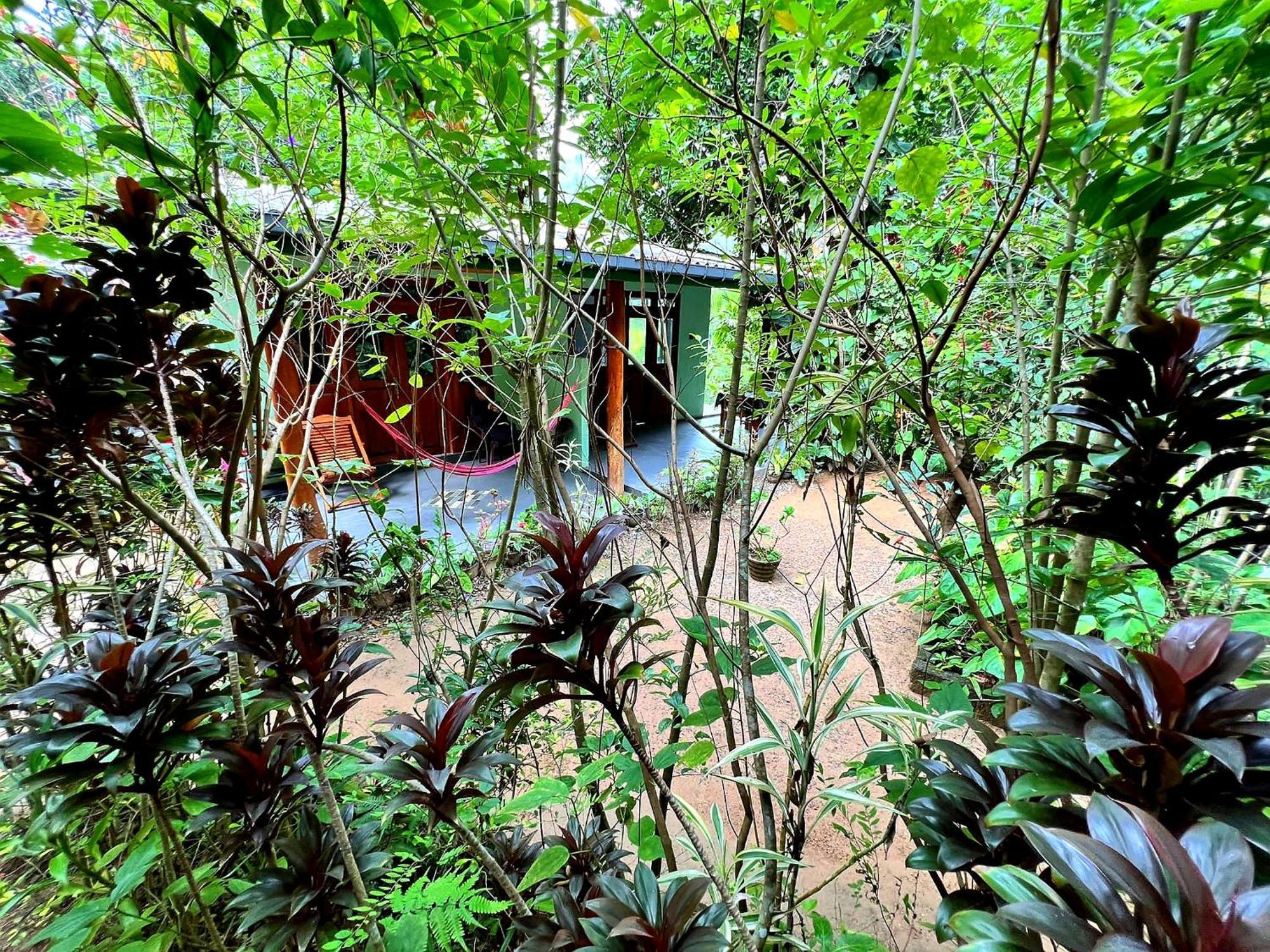Ella Secret Paradise Bagian luar foto