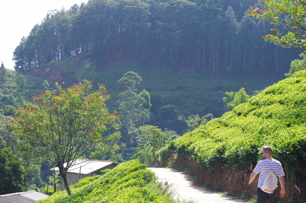 Ella Secret Paradise Bagian luar foto